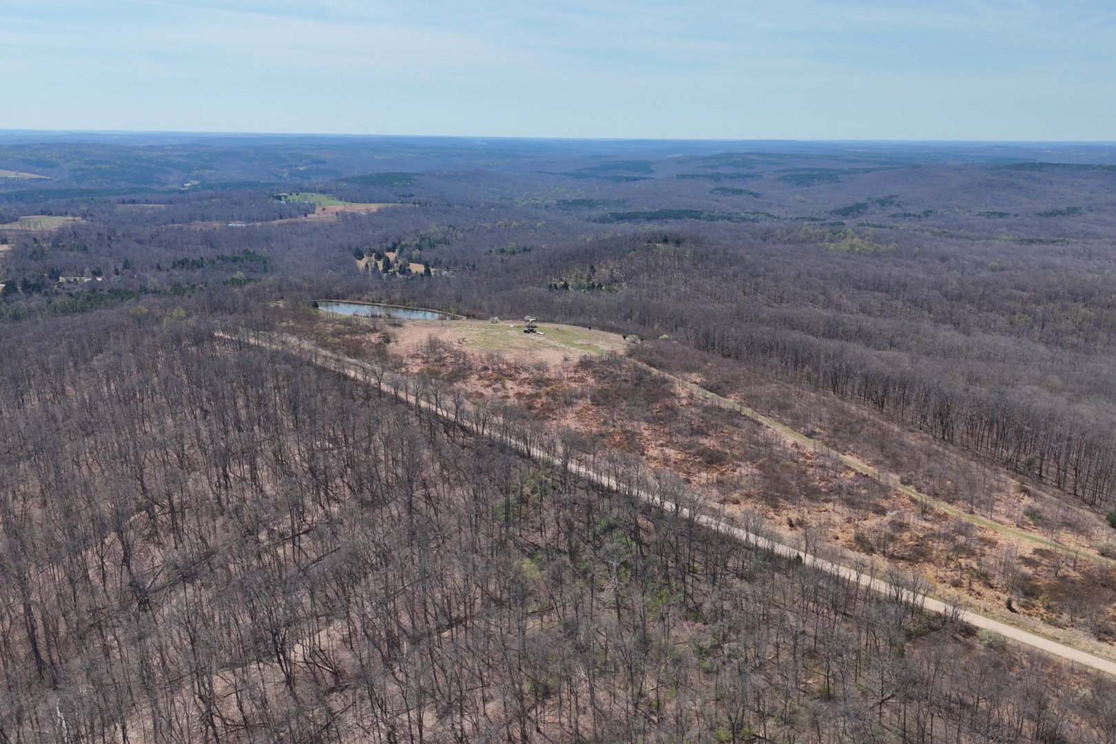 191 Bruce Johnson Road Herod, IL 62947 - Photo 11 of 36