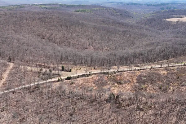 a view of a dry yard with trees and stairs