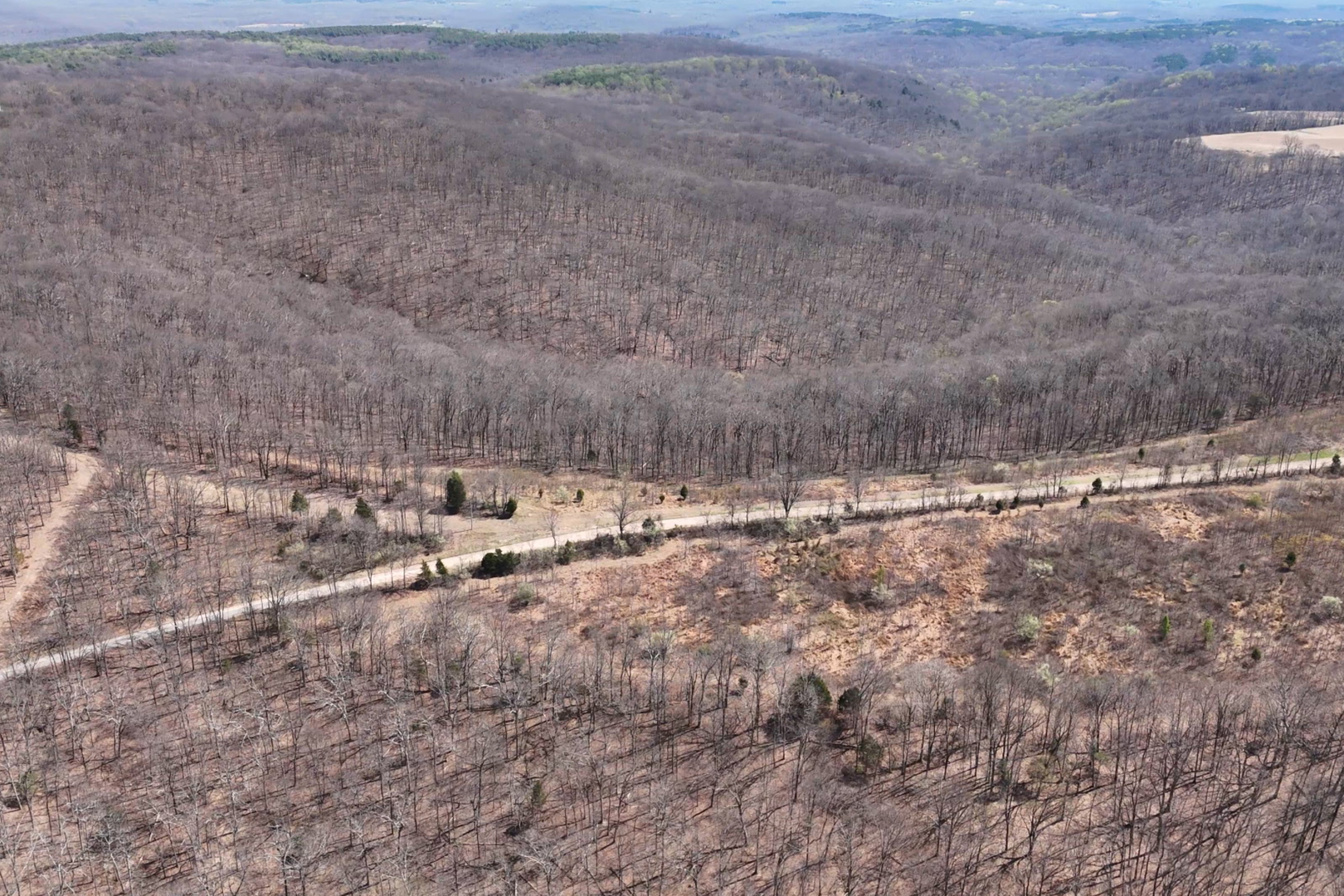 191 Bruce Johnson Road Herod, IL 62947 - Photo 12 of 36