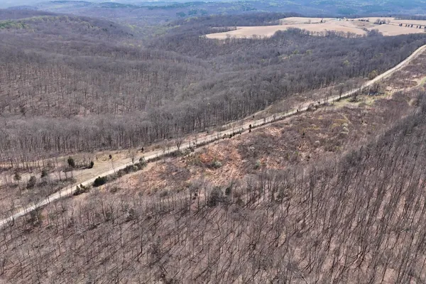 a view of a forest with trees in the background
