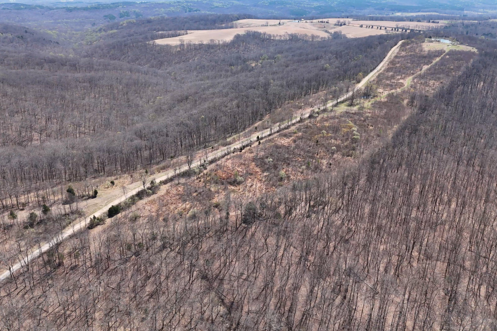 191 Bruce Johnson Road Herod, IL 62947 - Photo 14 of 36