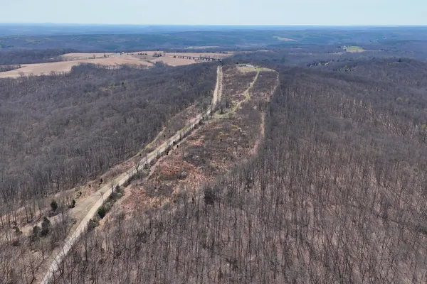 a view of a yard from a yard