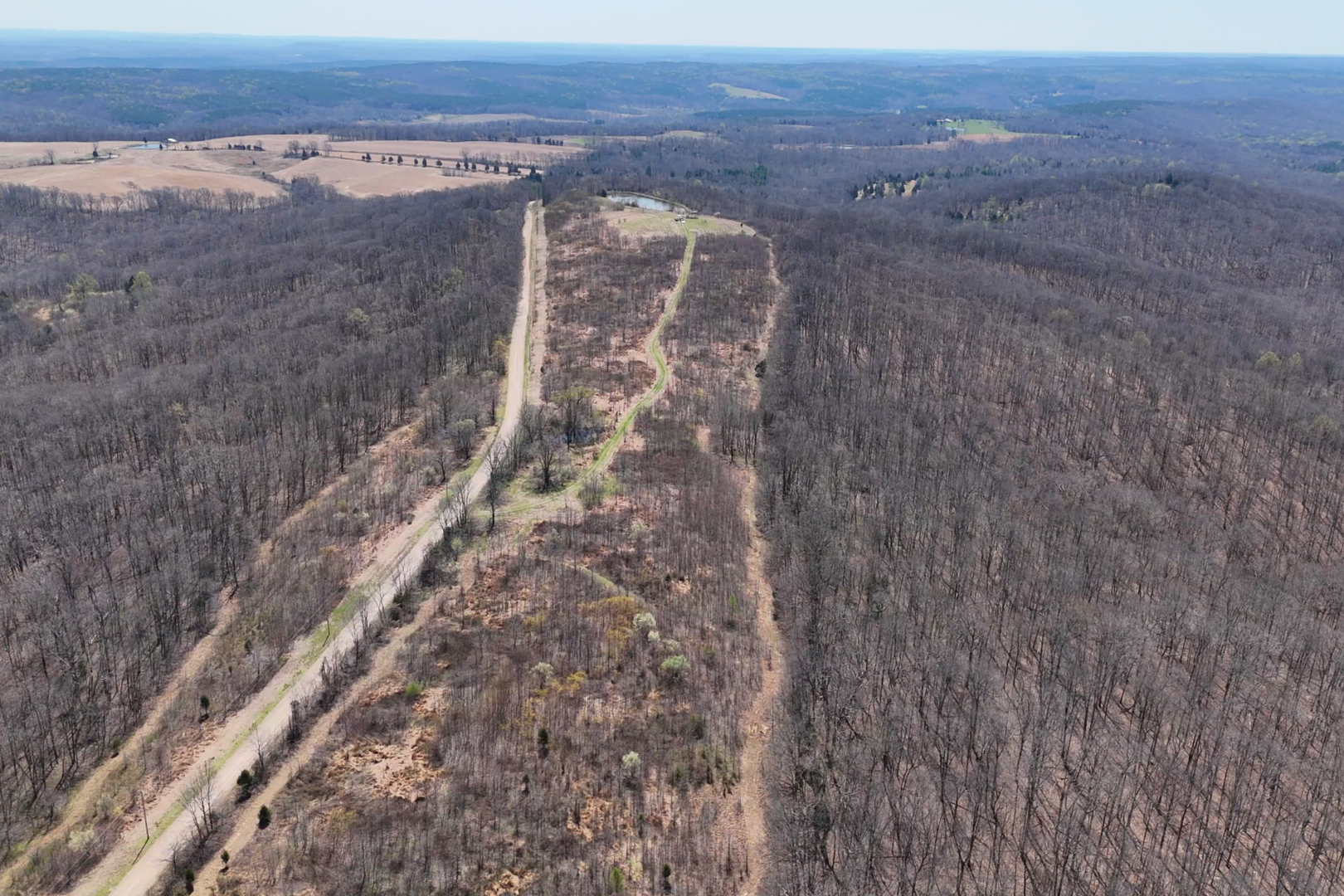 191 Bruce Johnson Road Herod, IL 62947 - Photo 16 of 36