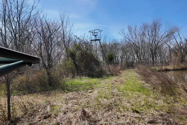 a backyard of a house with lots of trees