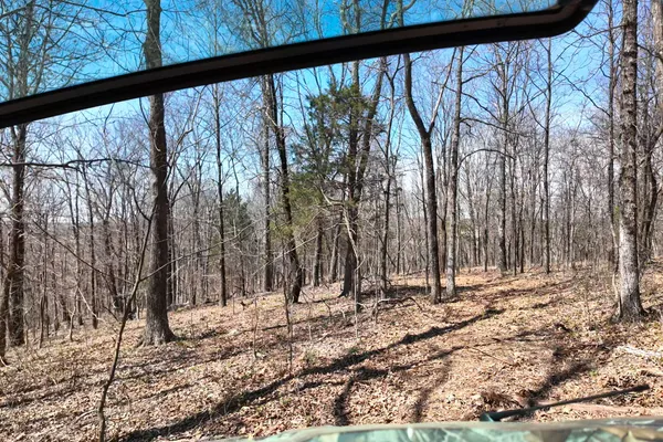 a view of trees and mountain view
