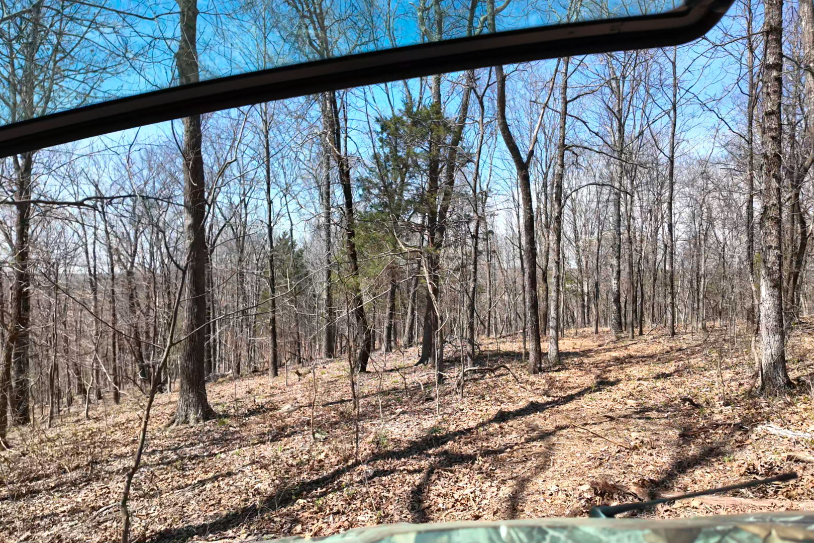 191 Bruce Johnson Road Herod, IL 62947 - Photo 24 of 36