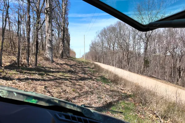 a view of a pathway of a yard with large trees