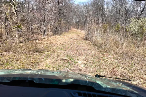 a view of a yard with trees