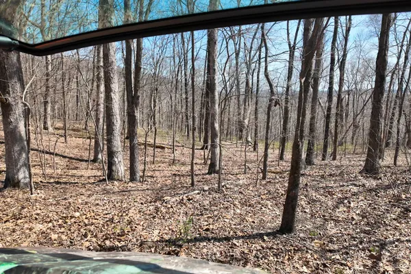 a view of a yard with trees