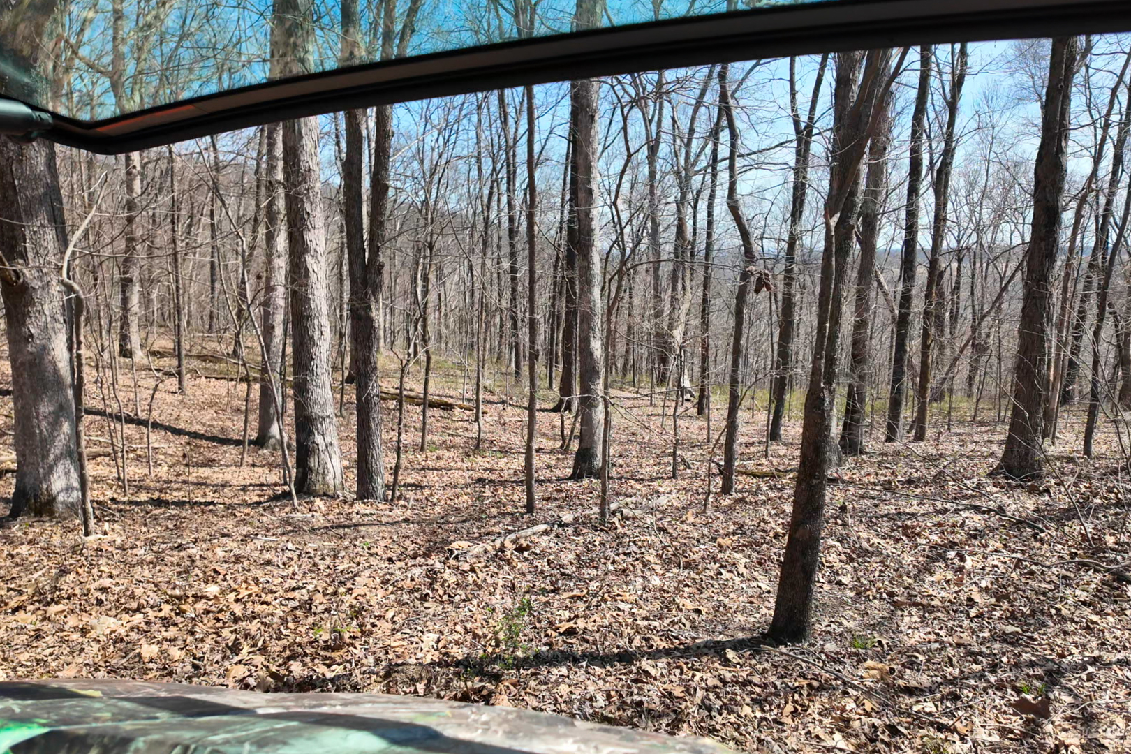 191 Bruce Johnson Road Herod, IL 62947 - Photo 28 of 36