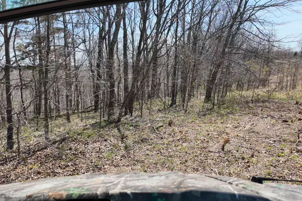 a view of yard with green space