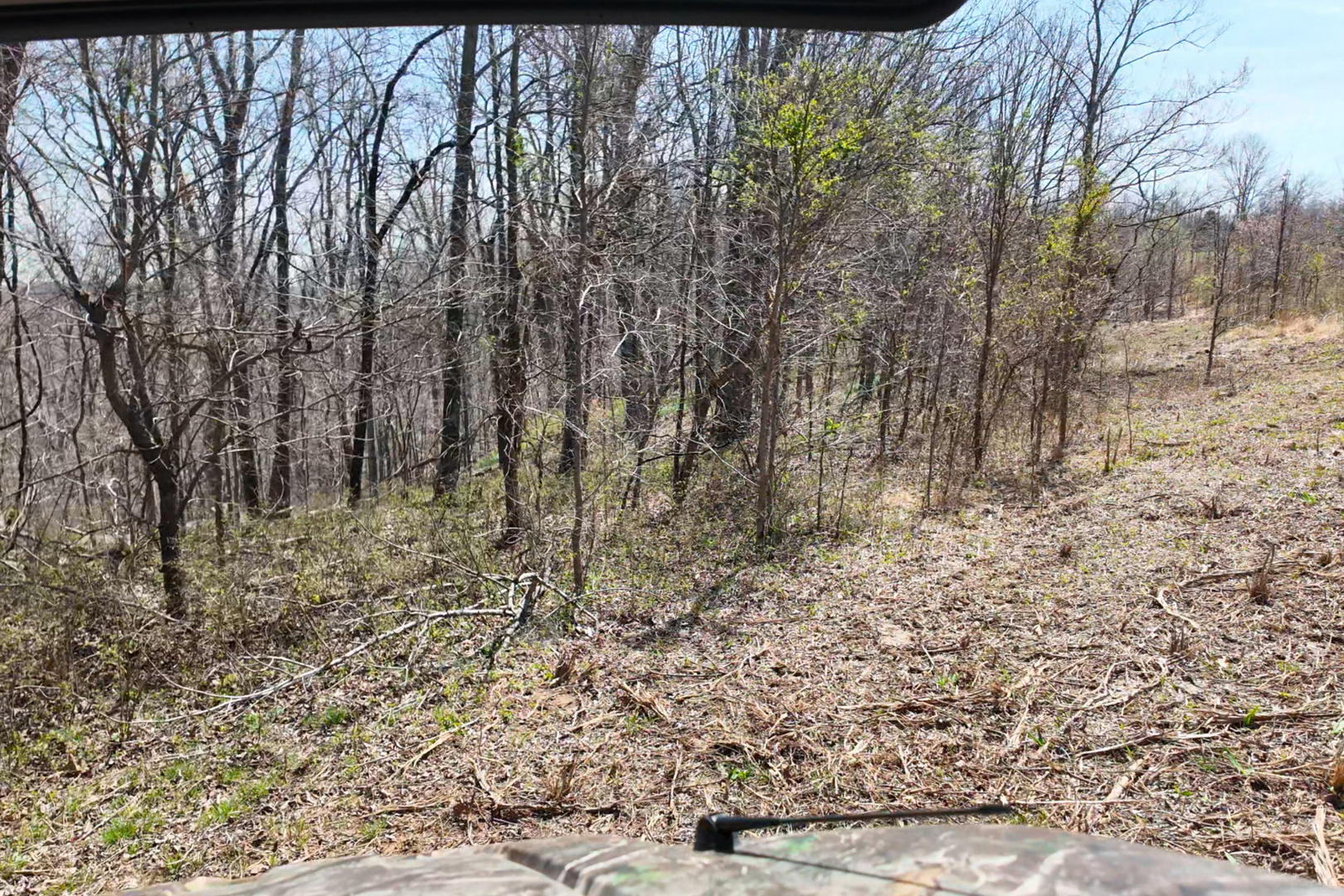 191 Bruce Johnson Road Herod, IL 62947 - Photo 30 of 36