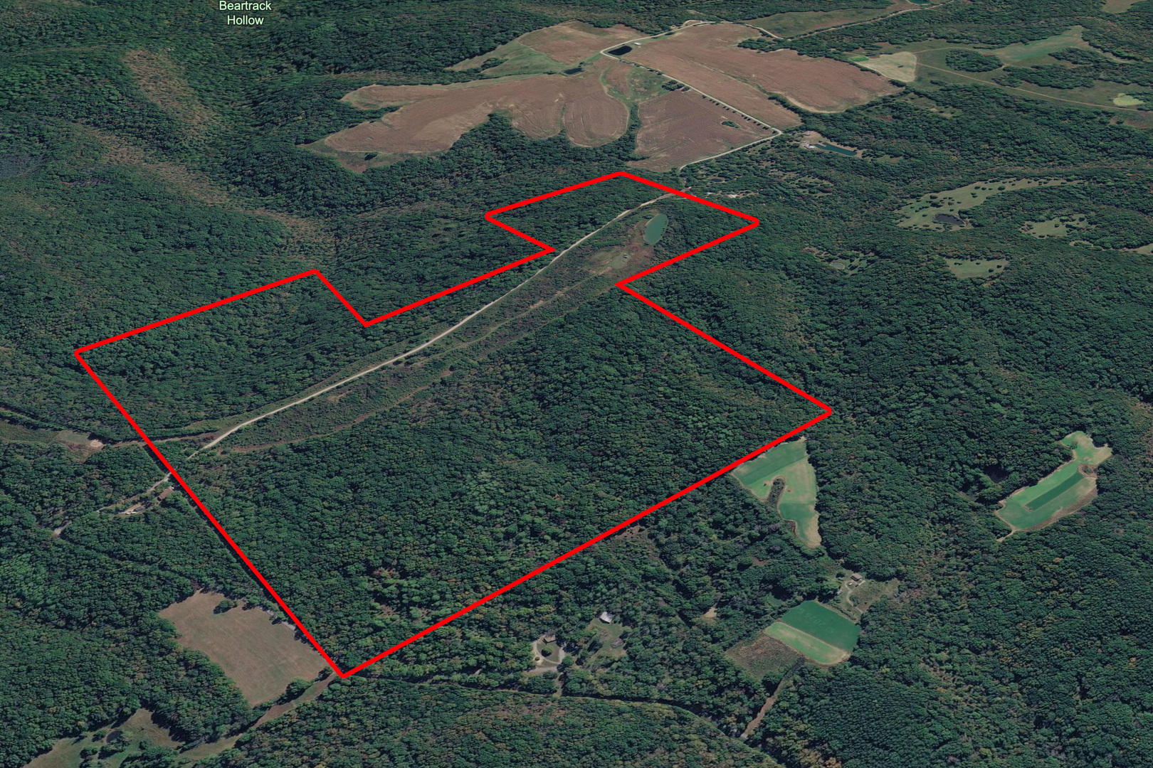 191 Bruce Johnson Road Herod, IL 62947 - Photo 3 of 36