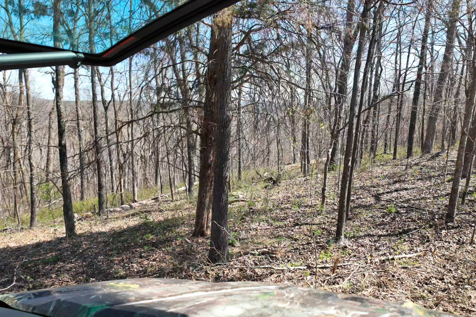 191 Bruce Johnson Road Herod, IL 62947 - Photo 31 of 36