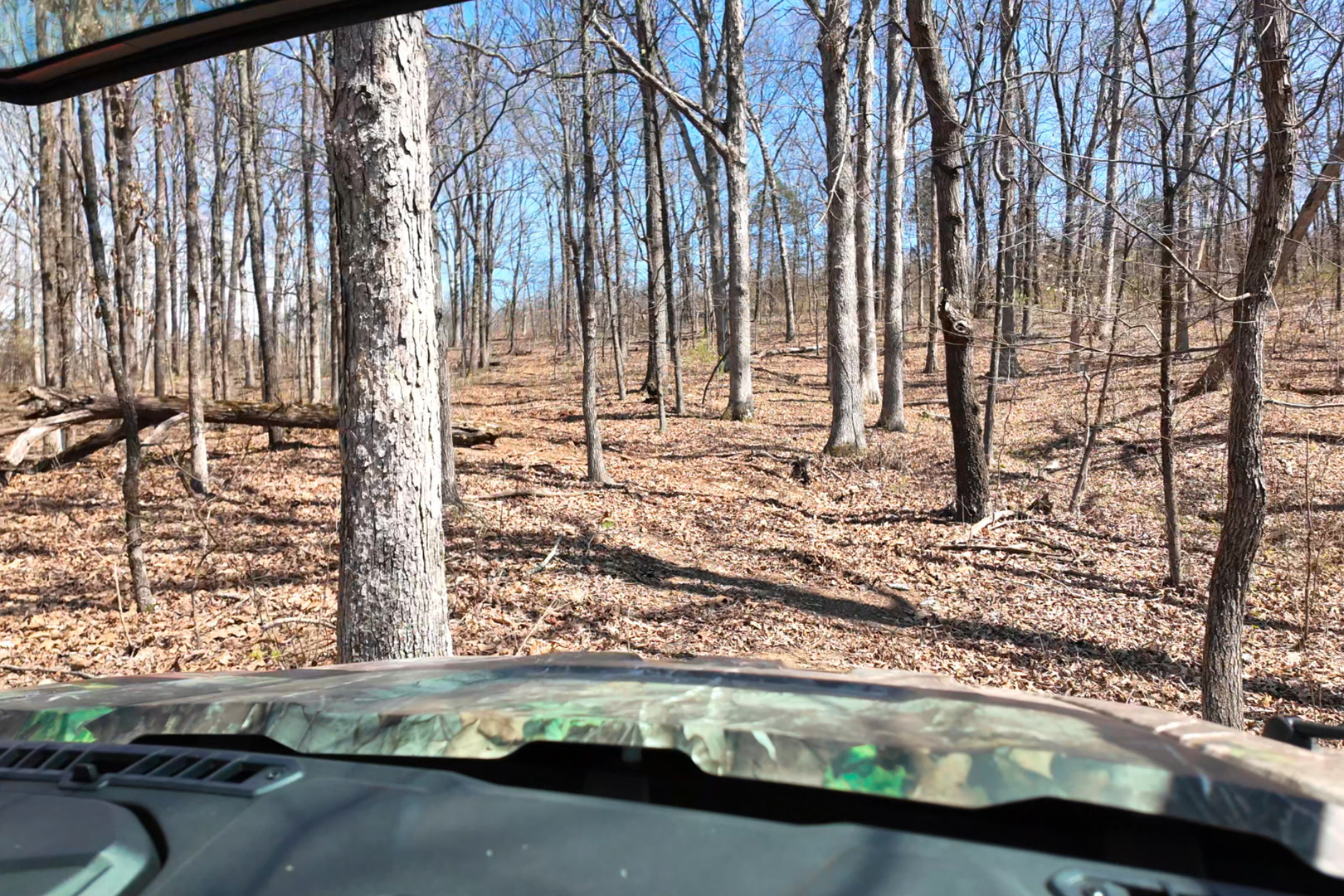 191 Bruce Johnson Road Herod, IL 62947 - Photo 36 of 36