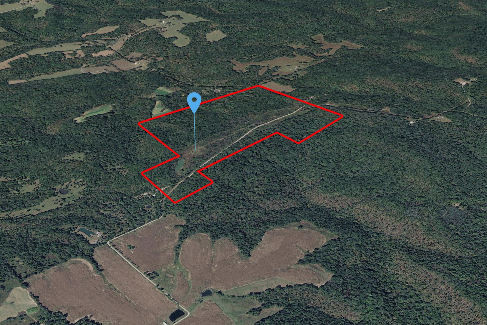 191 Bruce Johnson Road Herod, IL 62947 - Photo 4 of 36