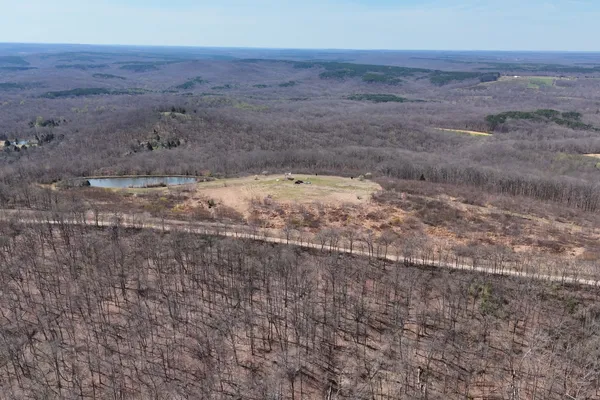 a view of a dry yard