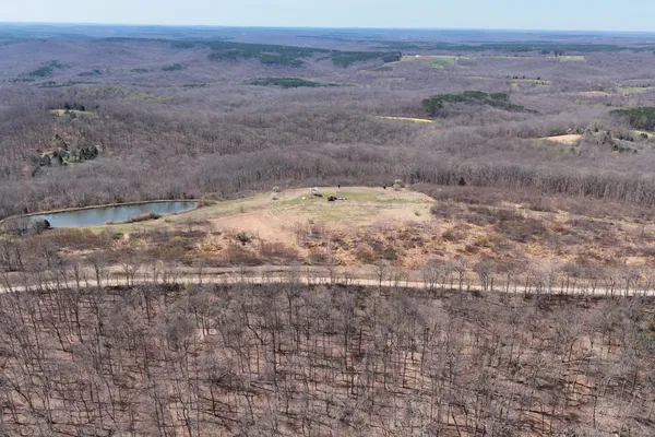 a view of a dry yard covered with trees