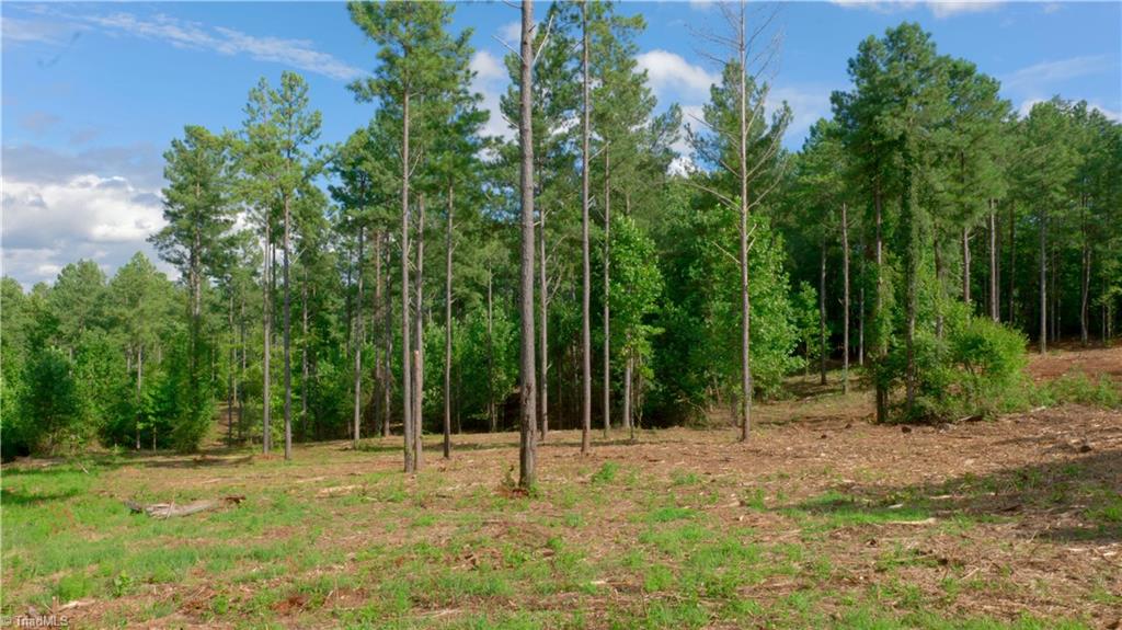 8061 Stroupe Farm Road Tobaccoville, NC 27050 - Photo 2 of 26