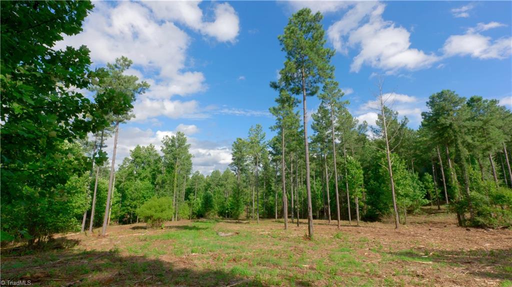 8061 Stroupe Farm Road Tobaccoville, NC 27050 - Photo 3 of 26