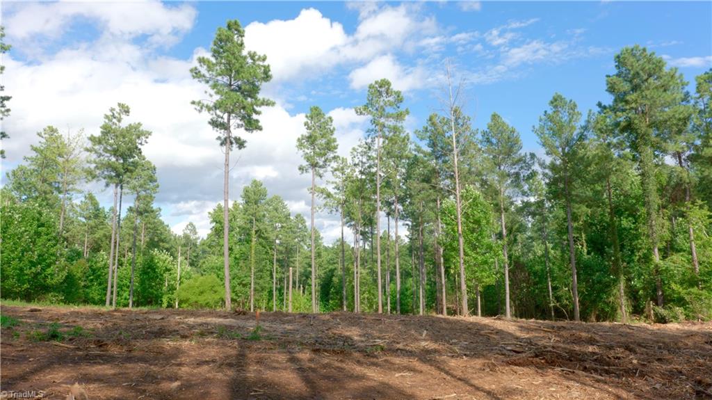 8061 Stroupe Farm Road Tobaccoville, NC 27050 - Photo 4 of 26