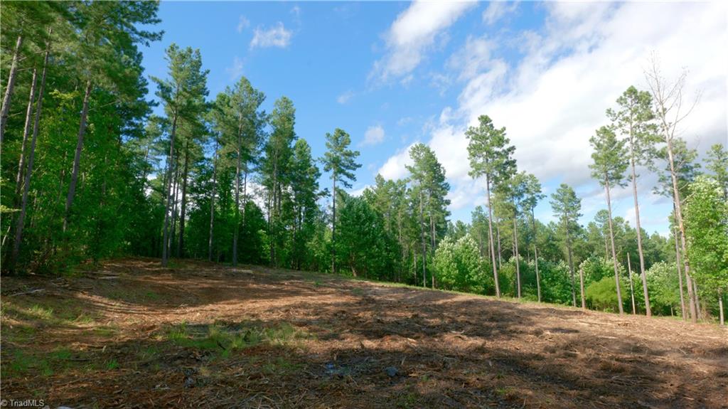 8061 Stroupe Farm Road Tobaccoville, NC 27050 - Photo 5 of 26