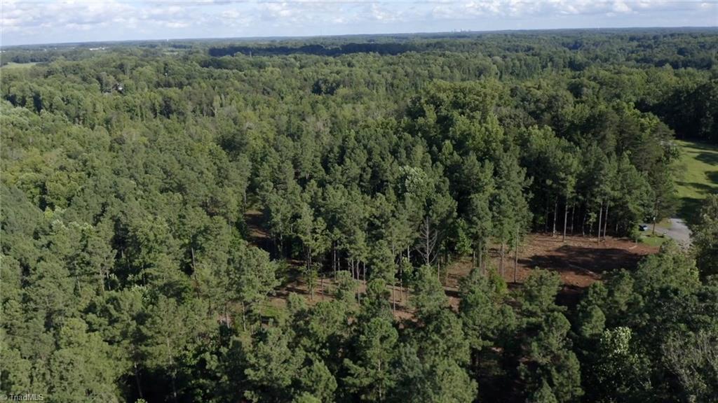 8061 Stroupe Farm Road Tobaccoville, NC 27050 - Photo 7 of 26