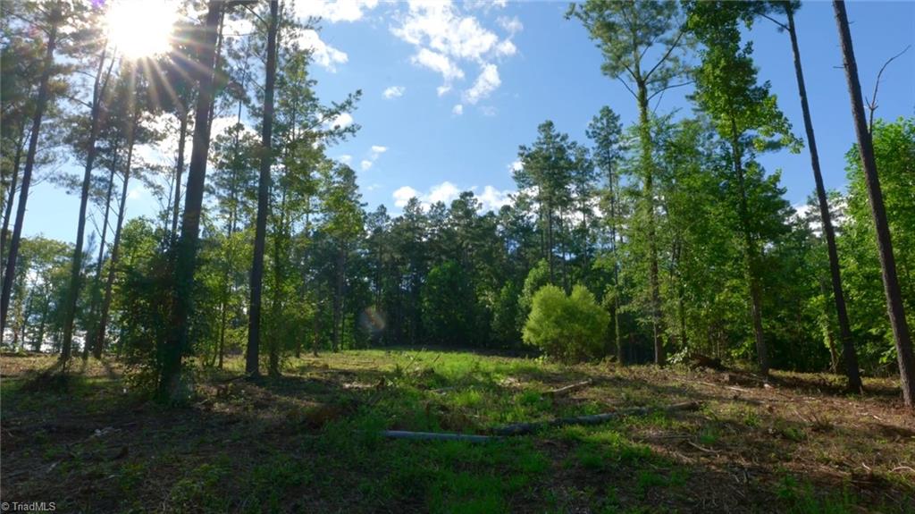 8061 Stroupe Farm Road Tobaccoville, NC 27050 - Photo 8 of 26