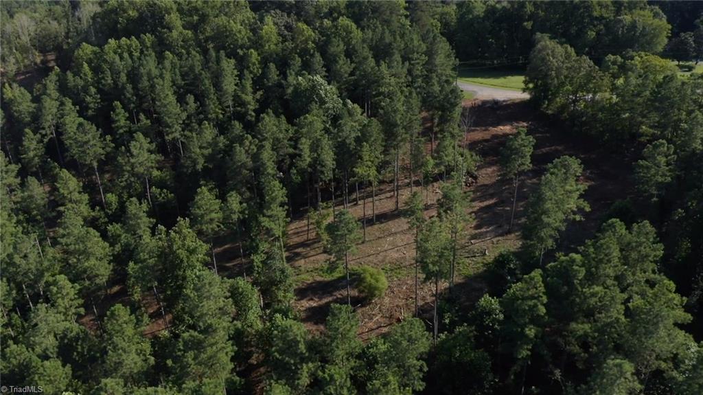 8061 Stroupe Farm Road Tobaccoville, NC 27050 - Photo 9 of 26