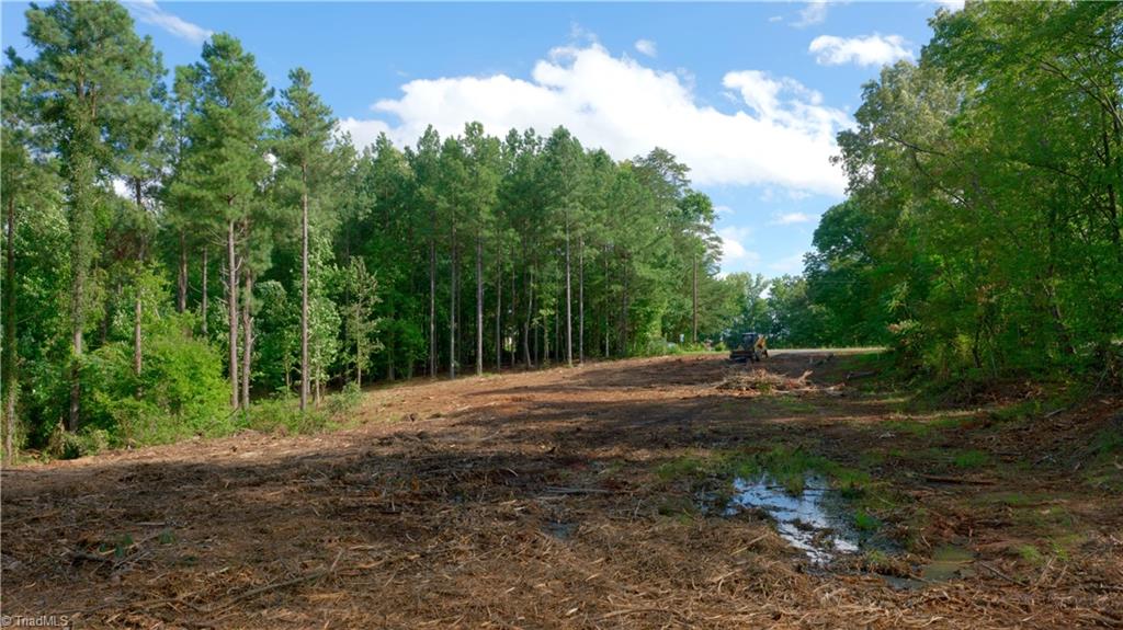 8061 Stroupe Farm Road Tobaccoville, NC 27050 - Photo 10 of 26