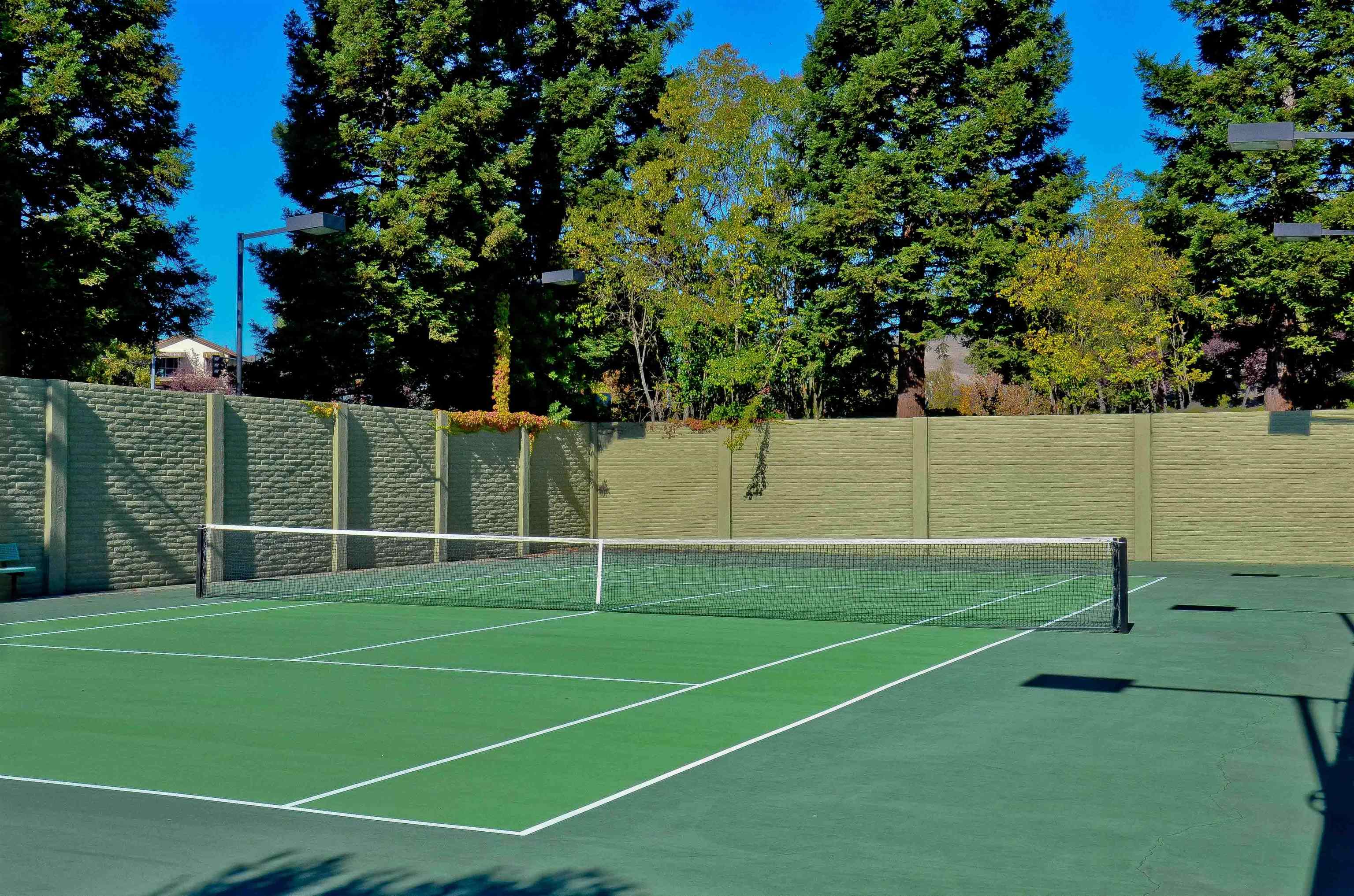 6206 Lakeview Circle San Ramon, CA 94582 - Photo 55 of 57 a view of a tennis court