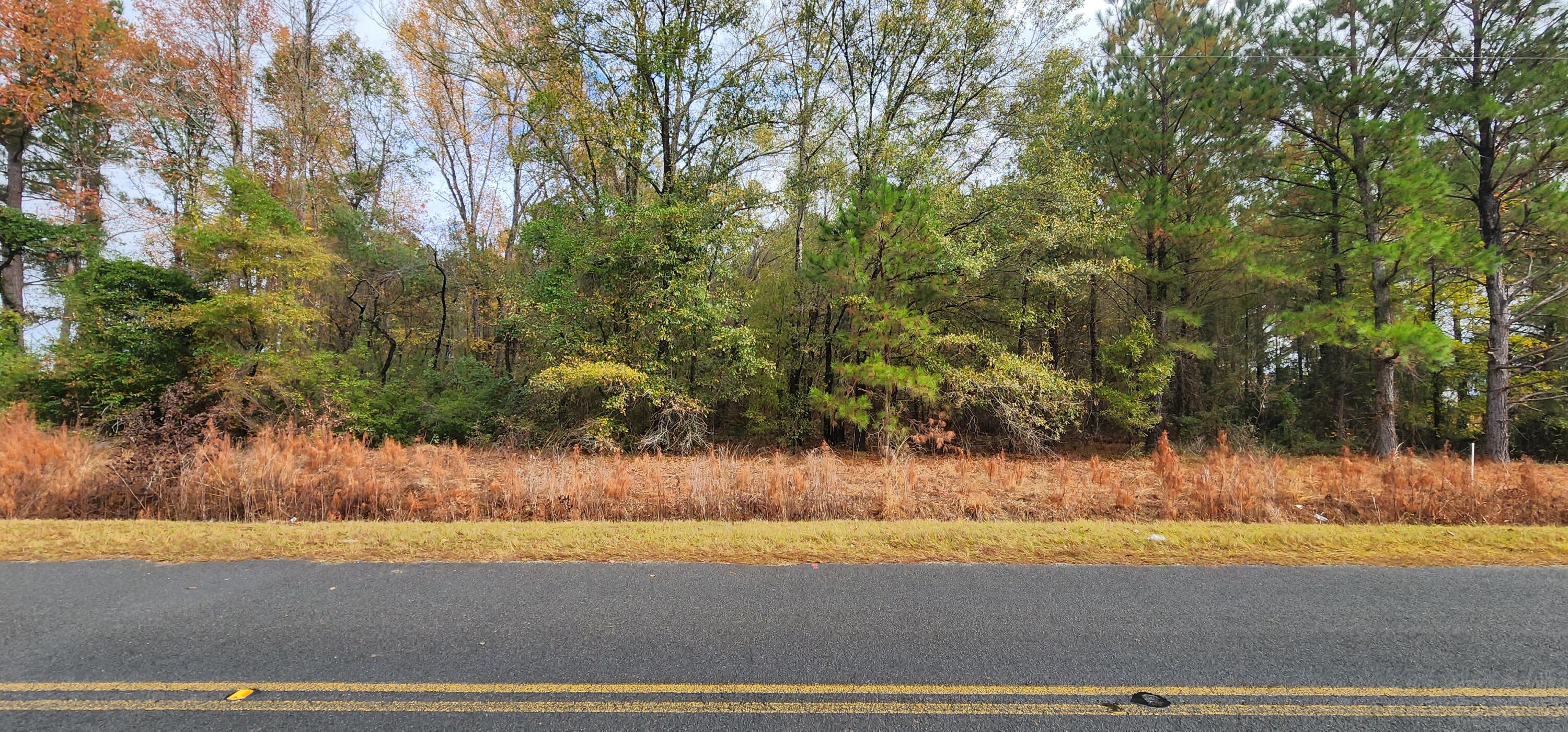 Lot 001 William Brunson Road Summerton, SC 29148 - Photo 1 of 6 20221127_113116