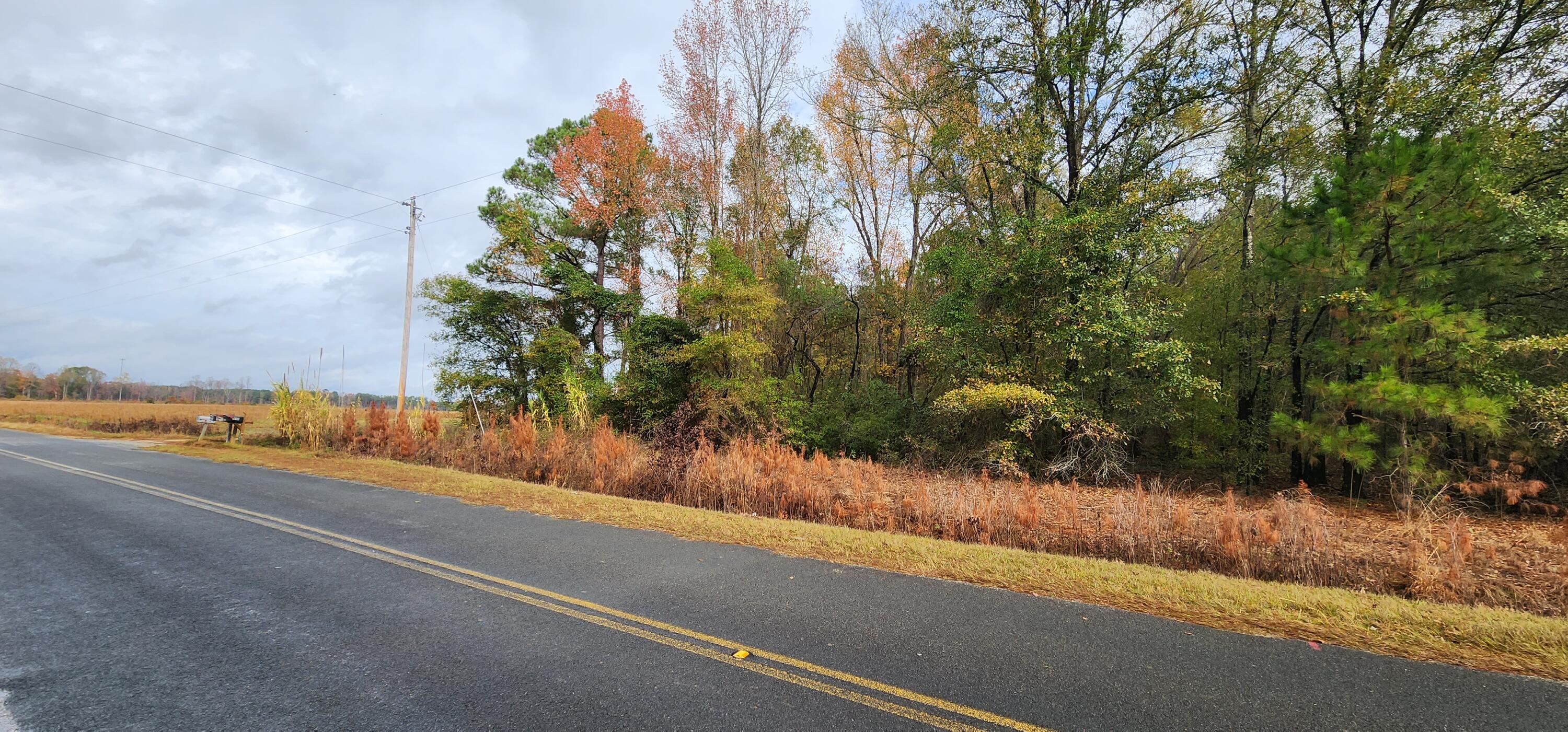 Lot 001 William Brunson Road Summerton, SC 29148 - Photo 3 of 6 20221127_113122