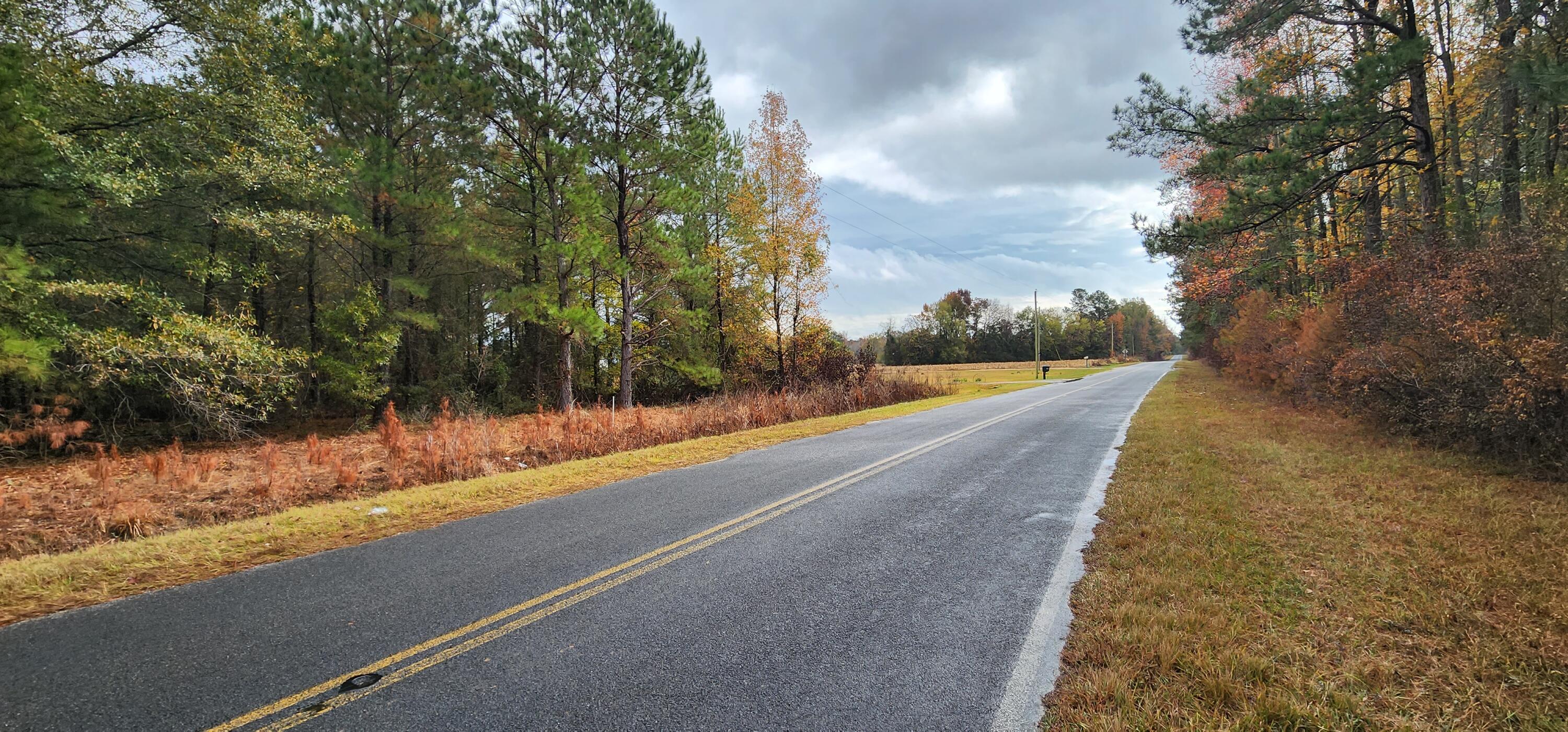 Lot 001 William Brunson Road Summerton, SC 29148 - Photo 4 of 6 20221127_113119