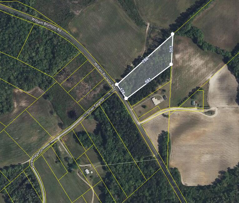 Lot 001 William Brunson Road Summerton, SC 29148 - Photo 5 of 6 Aerial photo
