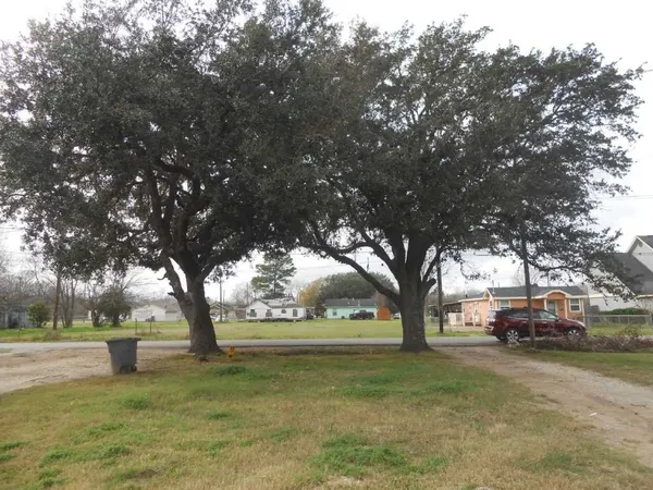 a tree in the garden of the house