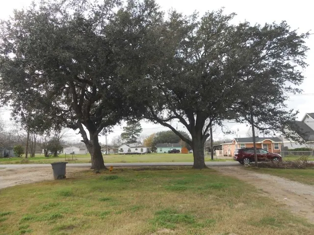 a tree in the garden of the house