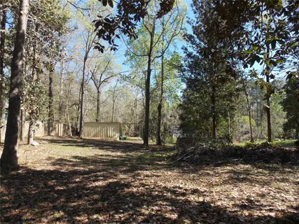a view of a yard with a tree