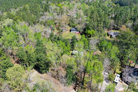 a view of a lush green forest with lots of trees