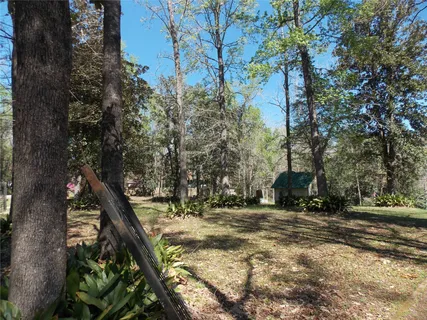 a view of outdoor space with trees