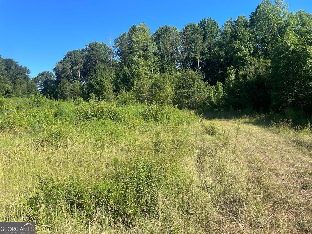 0 Cullen Road East Dublin, GA 31027 - Photo 1 of 1 Main View
