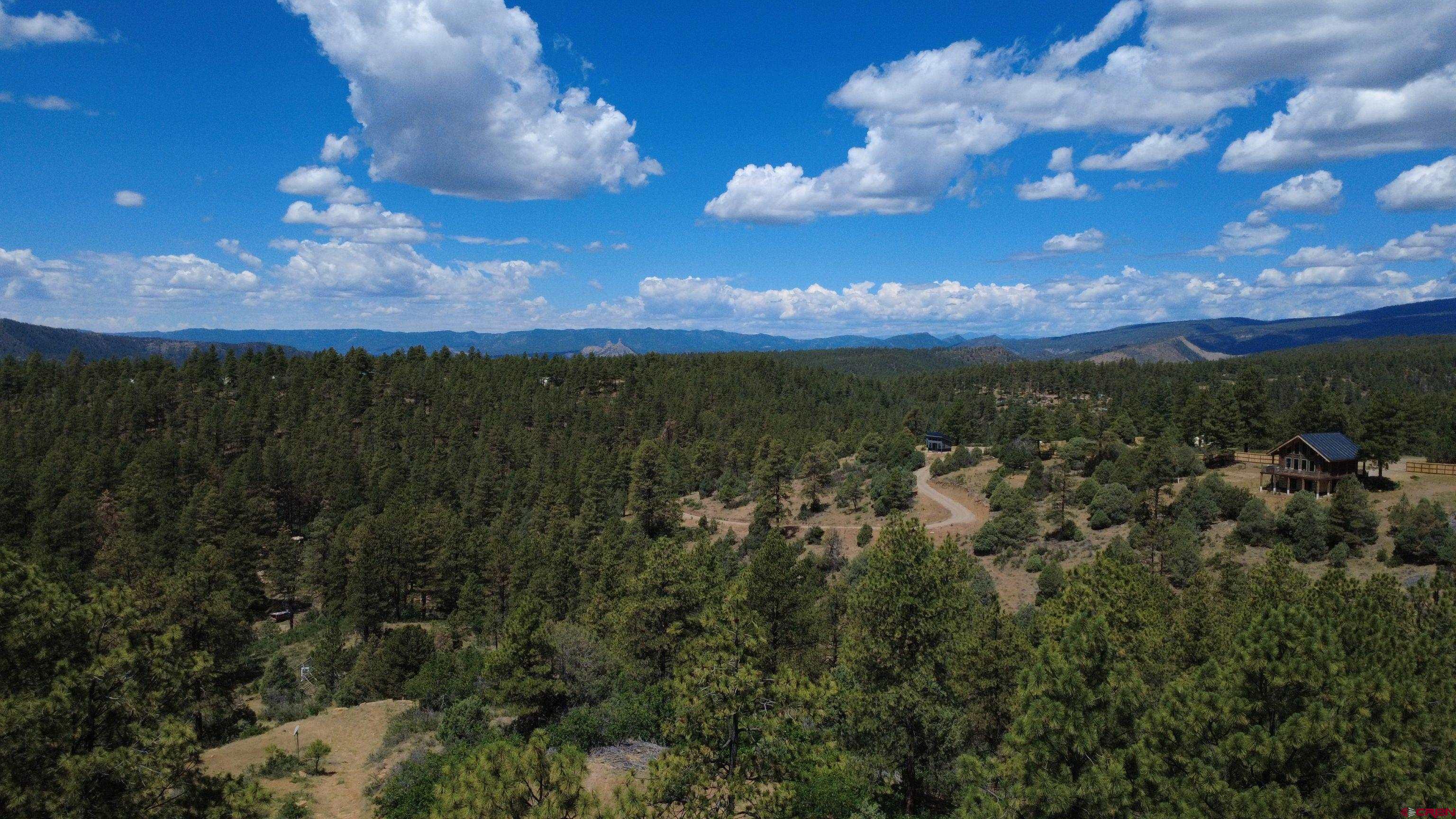 121 Engineer Point Pagosa Springs, CO 81147 - Photo 40 of 43