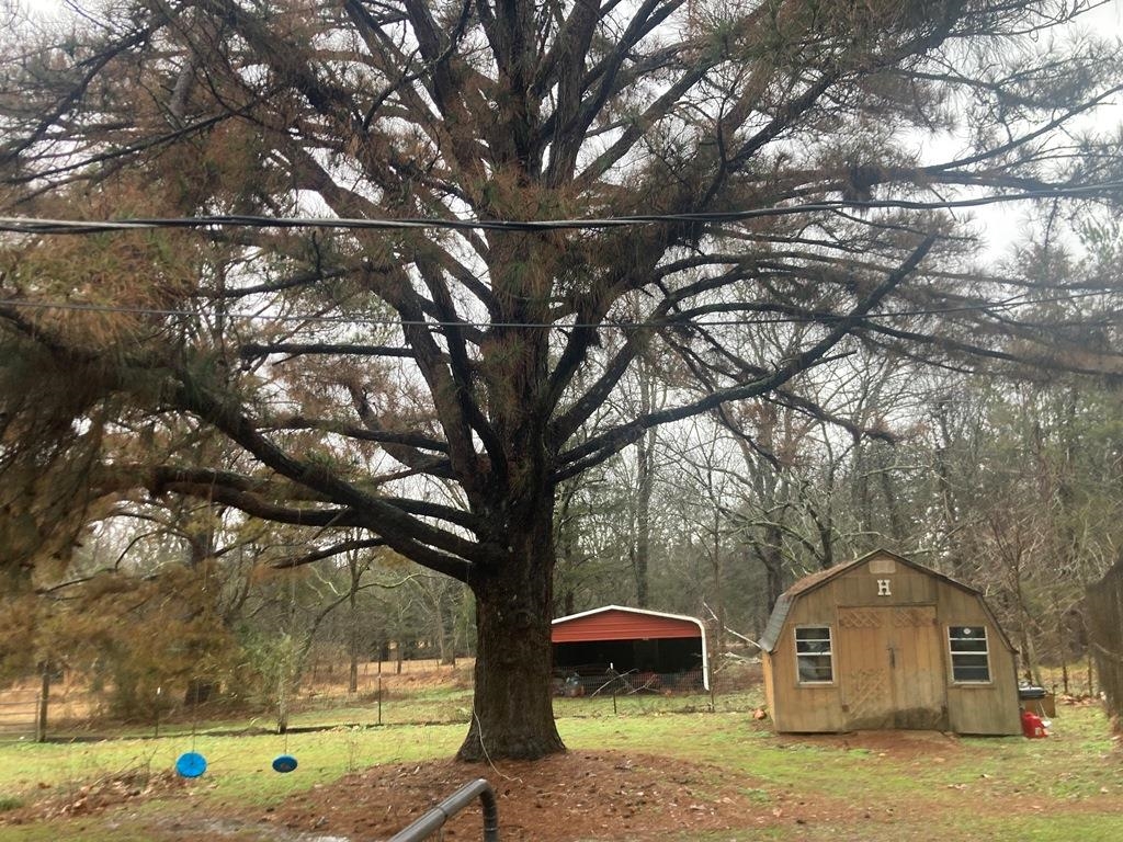 80 Douglas Road Byhalia, MS 38611 - Photo 16 of 30 Gallery Image 16