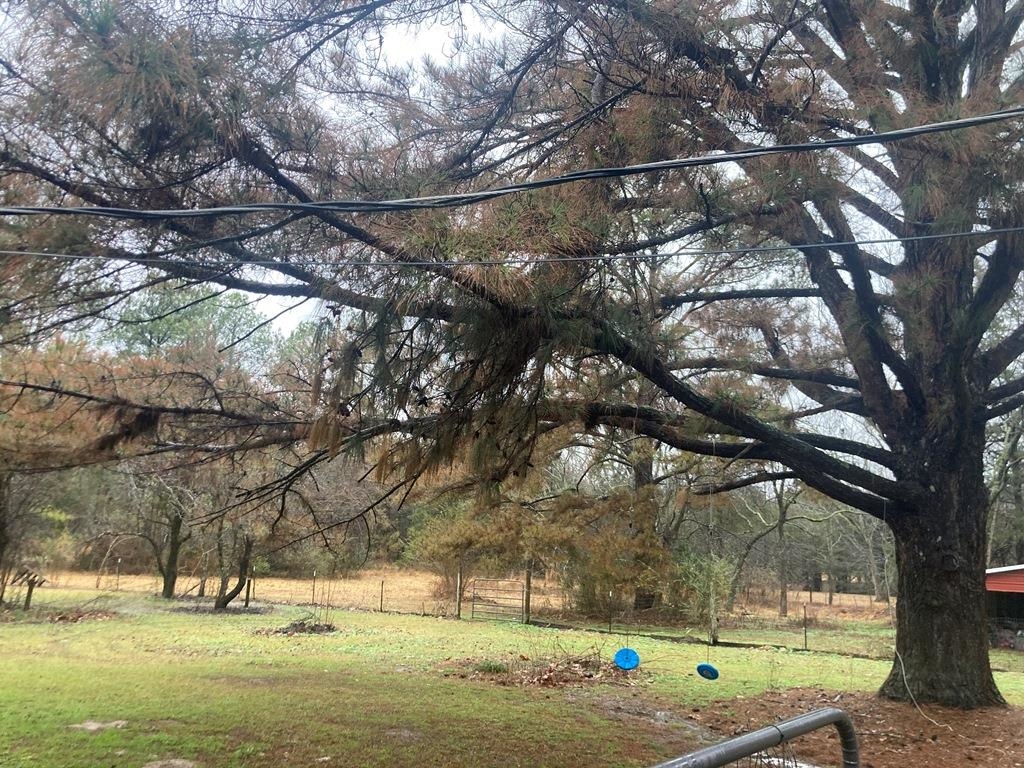 80 Douglas Road Byhalia, MS 38611 - Photo 17 of 30 Gallery Image 17