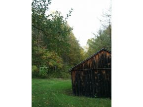 0 Broom Hollow Road Fall Branch, TN 37656 - Photo 3 of 19 Photo 3