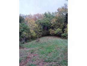 0 Broom Hollow Road Fall Branch, TN 37656 - Photo 8 of 19 Photo 8