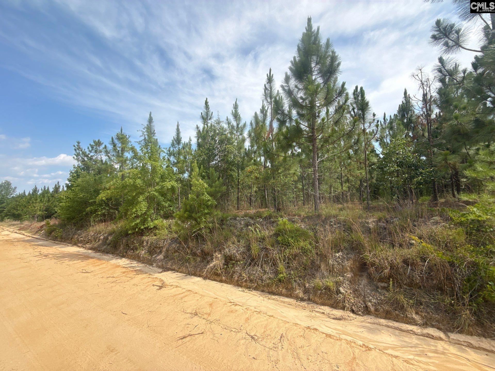 1 State Rd S-28-31 Road Cheraw, SC 29520 - Photo 1 of 12 a view of a backyard of the house