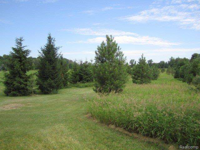 5445 37 Mile Road Romeo, MI 48065 - Photo 16 of 23 5445 37 Mile Road - Vacant Land1