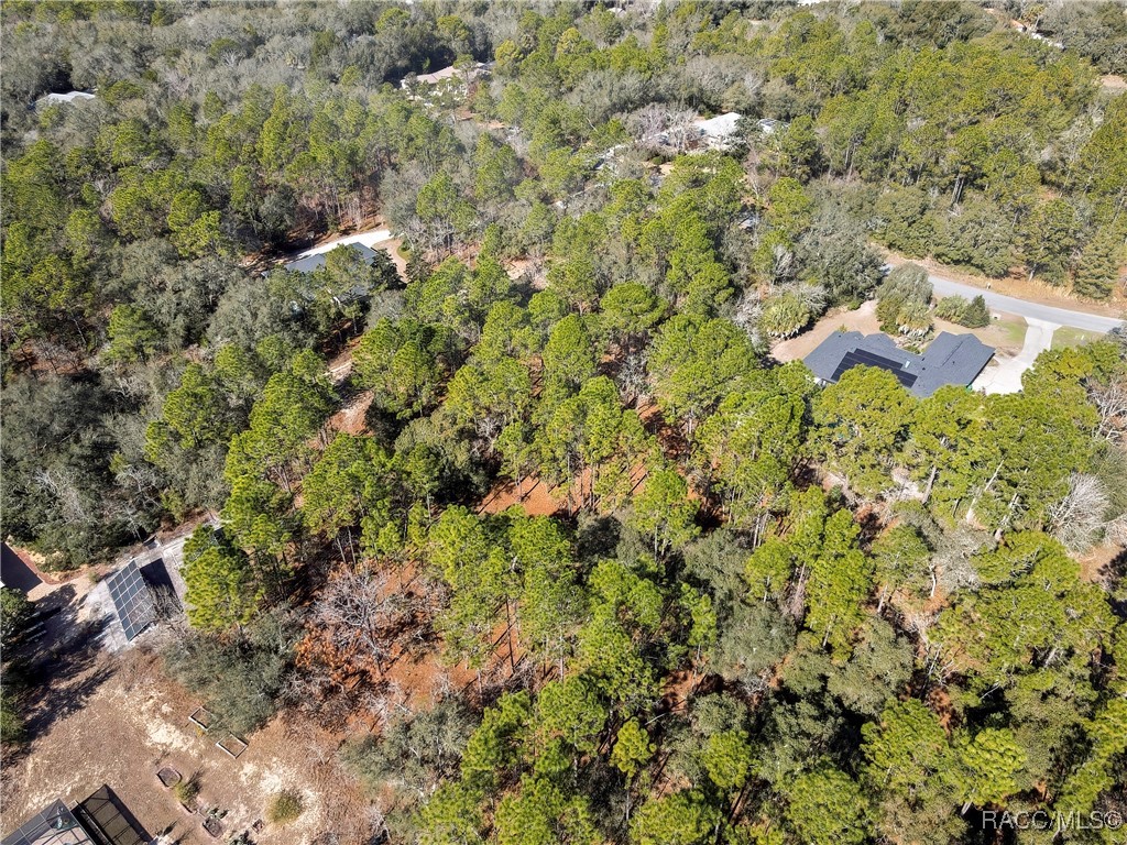 3921 North Longvalley Road Hernando, FL 34442 - Photo 9 of 11