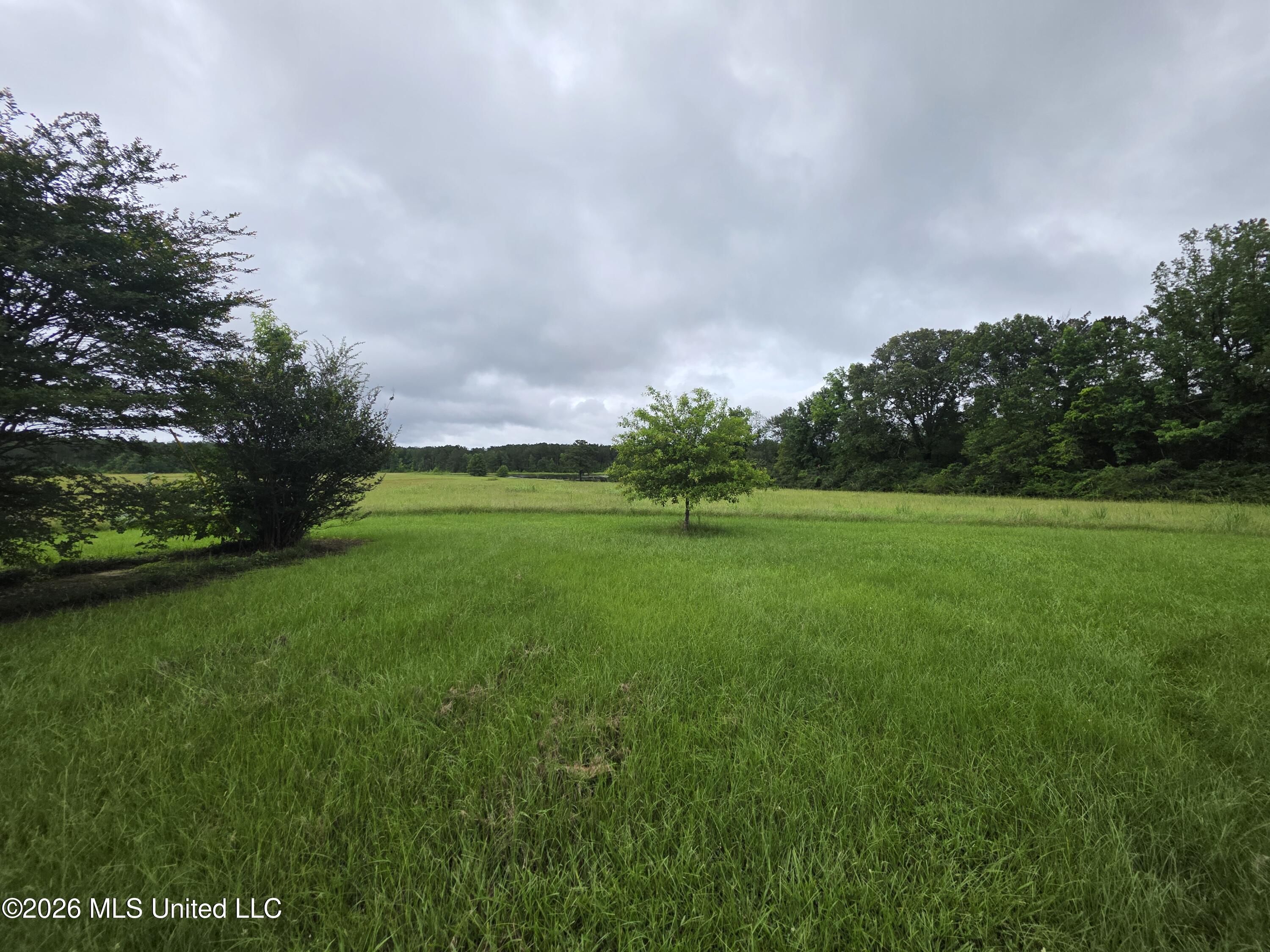 244 Foster Road Sontag, MS 39665 - Photo 27 of 105 35425
